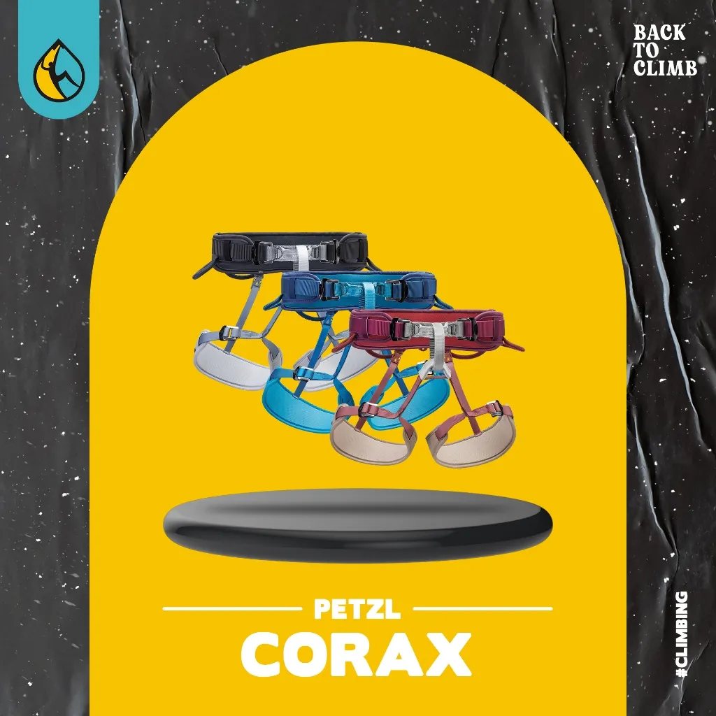 PETZL CORAX Original – Safety Climbing Harness Panjat Tebing Adjustable Outdoor