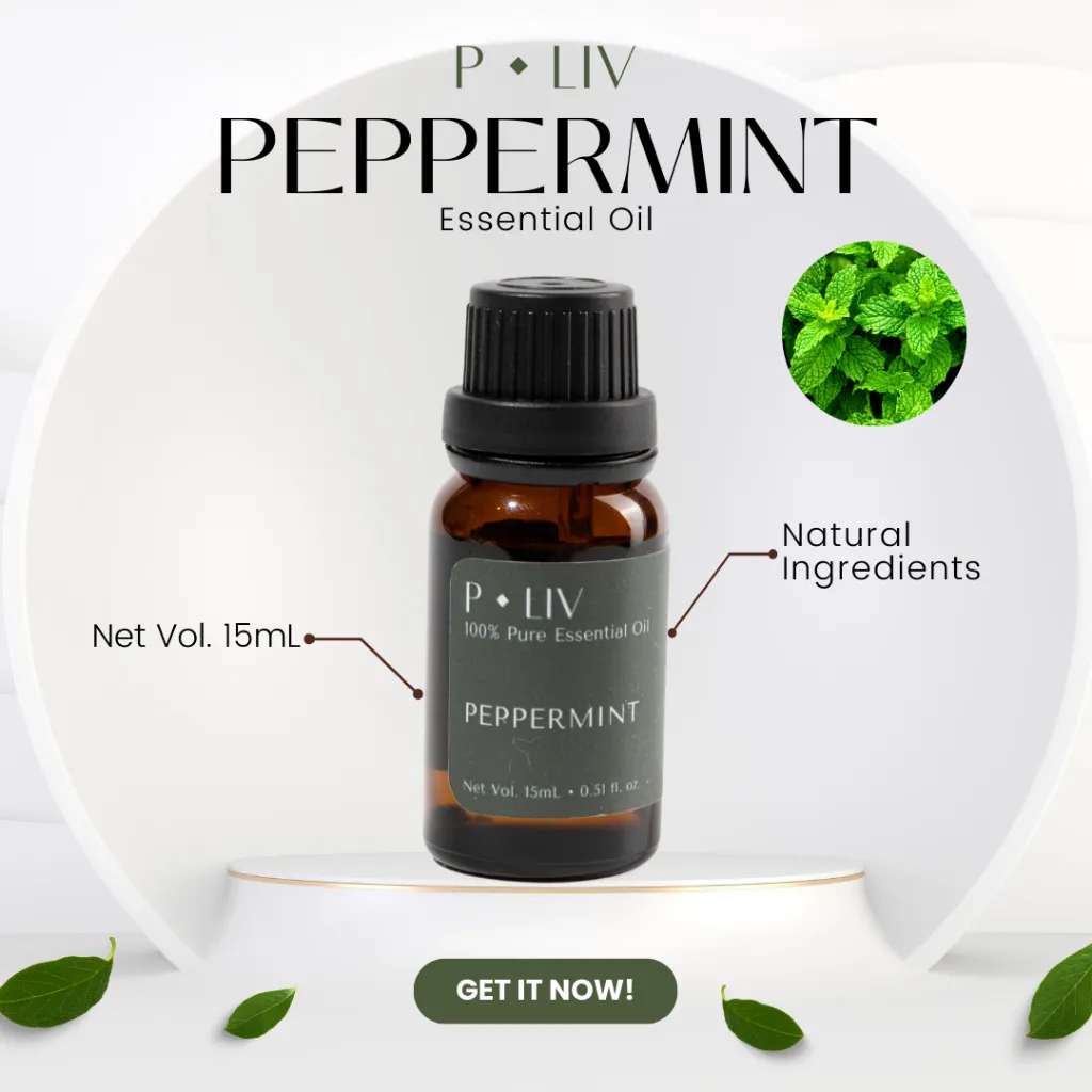 Peppermint - Pure Essential Oil 15ml | Batuk & Pilek - Cough & Flu | Aromatherapy Oil 15ml | Pewangi Ruangan | Oil Aromaterapi Diffuser Oil Burner | Minyak Atsiri | Birthday Gift Ideas | Minyak Esensial | Room Fragrance Perfume | Pengharum Ruangan