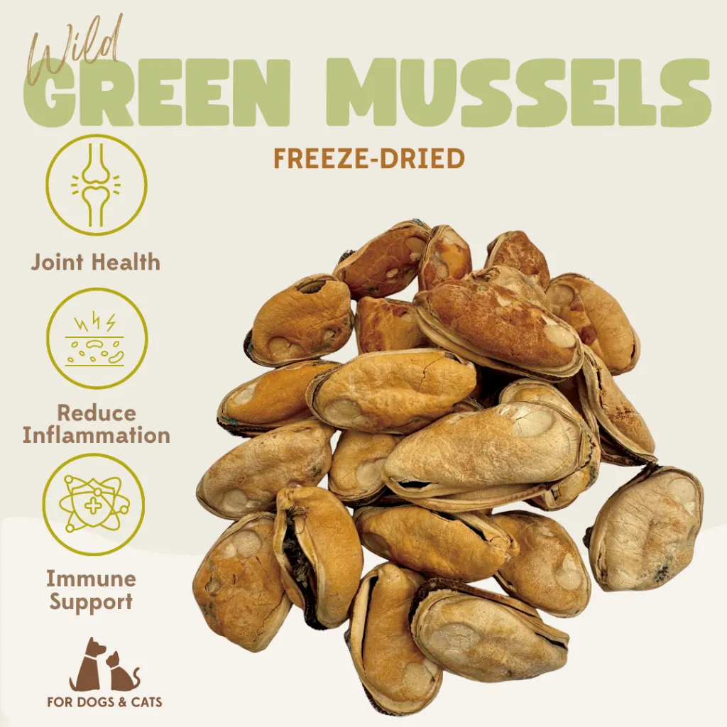 New Zealand GREEN MUSSEL Freeze Dried ImportedTreats |100% Natural Snack Kerang Hijau Asli | Joint Support Glucosamine Omega 3 Suplemen Sendi Anjing Kucing | Tinggi Kalsium Cemilan Sehat | Healthy Cat Dog Snack