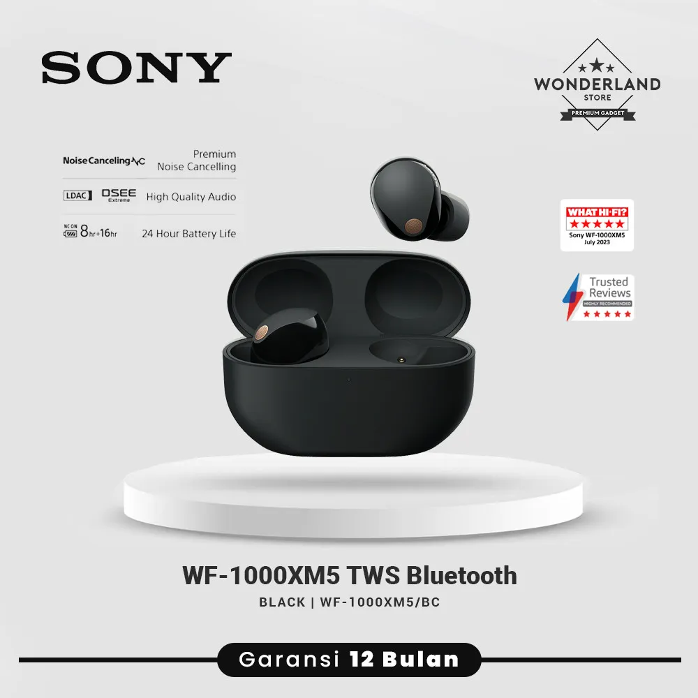 Sony WF-1000XM5 Noise Cancelling True Wireless Earbuds with Hi-Res Audio, Bluetooth 5.3, LDAC, 8 Hours Battery - Wonderland Store