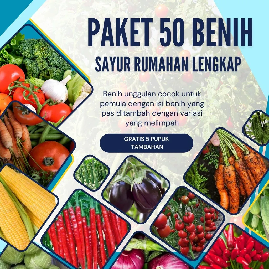 Paket Komplit Benih Sayuran 50 Jenis untuk Hobi, Konsumsi Pribadi, dan Usaha 50 Jenis Benih Sayuran – Siap Tanam & Panen Berlimpah