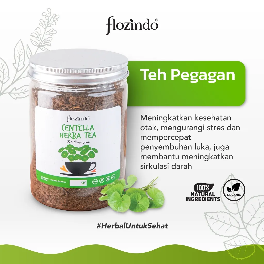 Teh Pegagan FLOZINDO – Alami & Halal, Nutrisi Herbal Otak, Bantu Ingatan Lebih Tajam