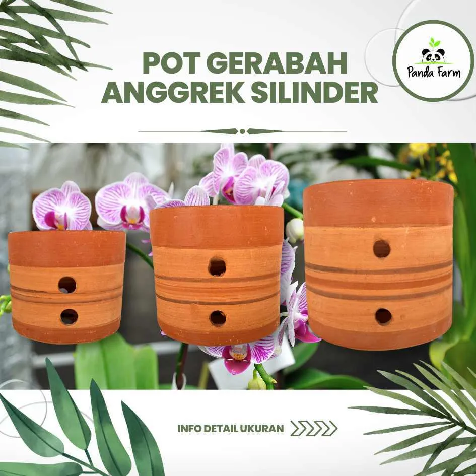 Pot Anggrek Gerabah Tanah liat Silinder Polka