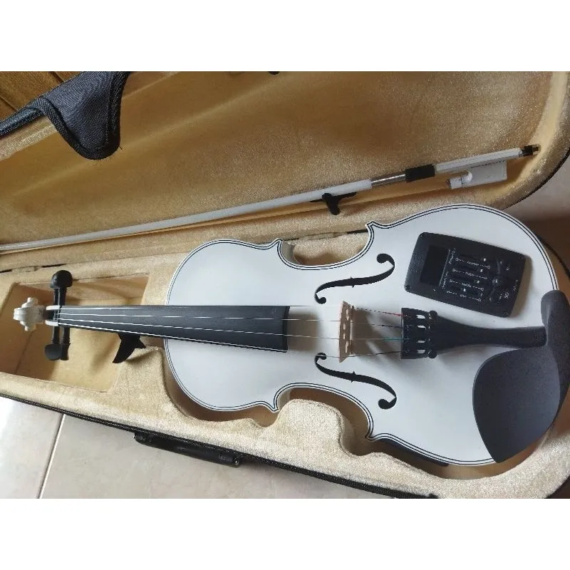 BIOLA AKUSTIK ELEKTRIK EQUALIZER warna suka suka