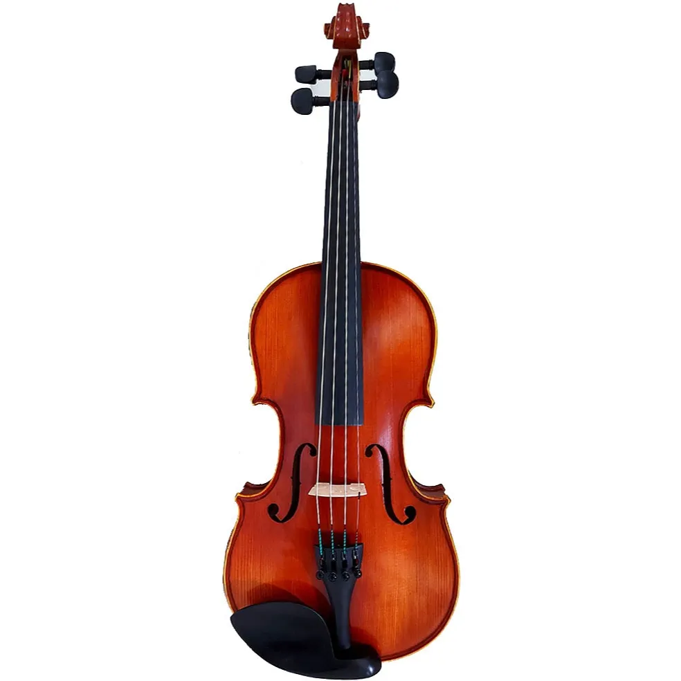 Biola Allfour Strings Violin model ASV-310