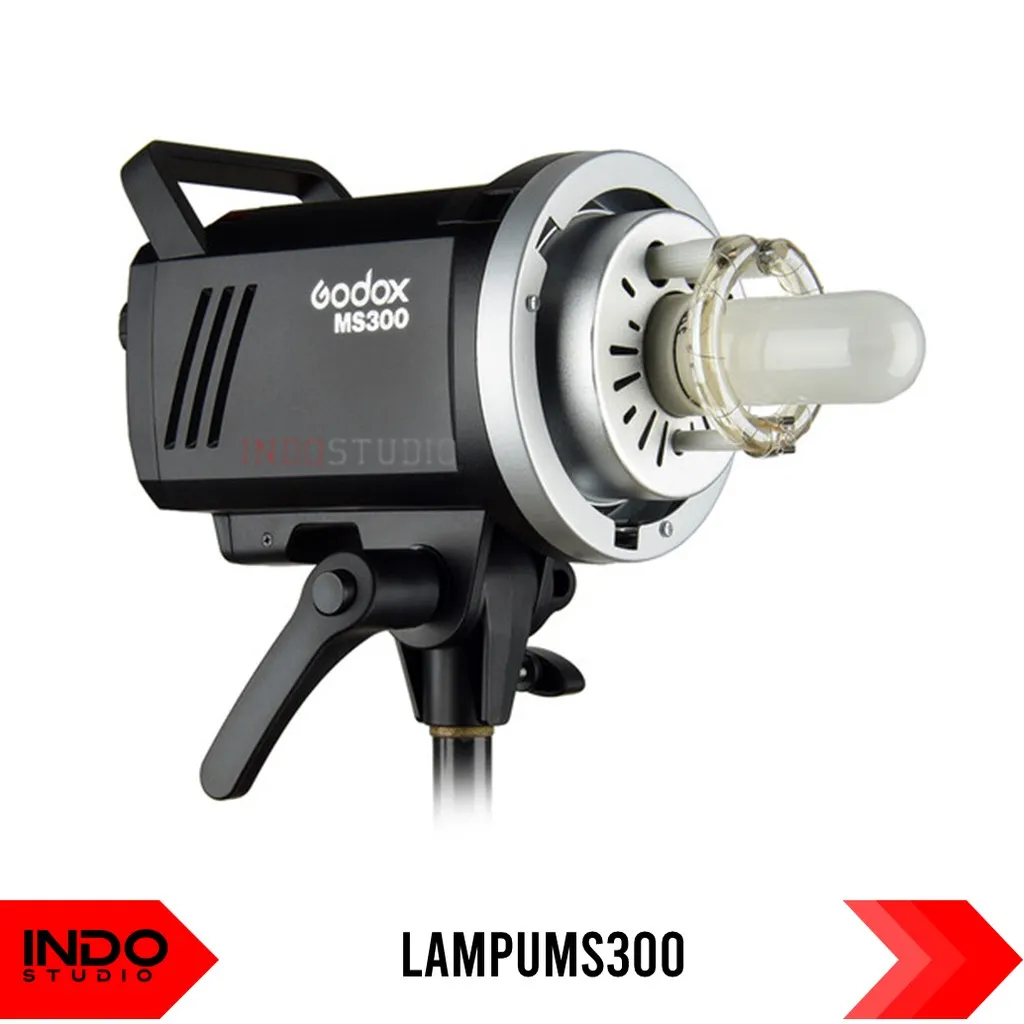 Lampu Studio Godox MS300 Monolight Studio Flash MS-300 V Lighthing led MS 300 V