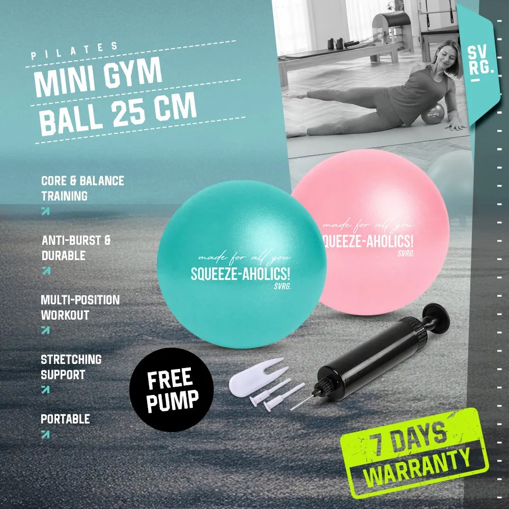 SVRG Mini Gym Ball 25cm FREE PUMP Stability Ball Bola Pilates Ball