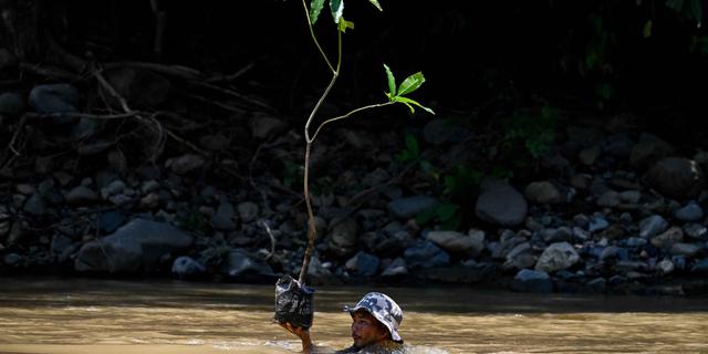 Peringatan Hari Bumi Sedunia 2026, Digelar Aksi Penanaman One Man One Tree