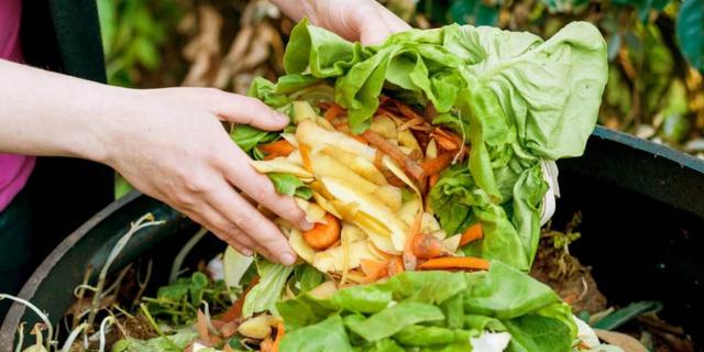 Sampah Makanan Bikin Indonesia Rugi Rp 551 Triliun, Catat Cara Mencegahnya dari Rumah