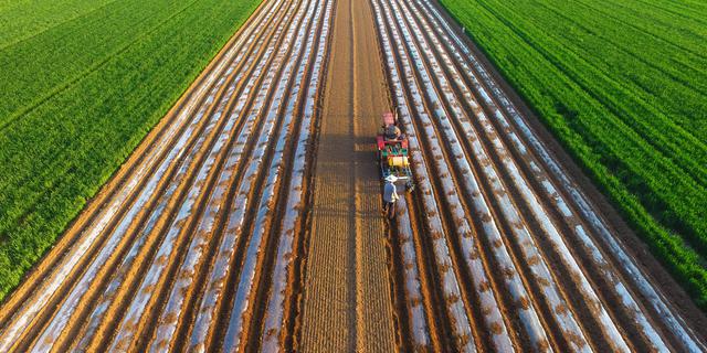 Universitas Pertanian Nanjing Perkenalkan Sinong, Model AI Baru untuk Sektor Pertanian