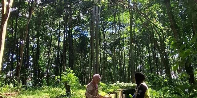 Hutan Kota Desa Duku Ulu Disiapkan Jadi Destinasi Wisata Unggulan Rejang Lebong