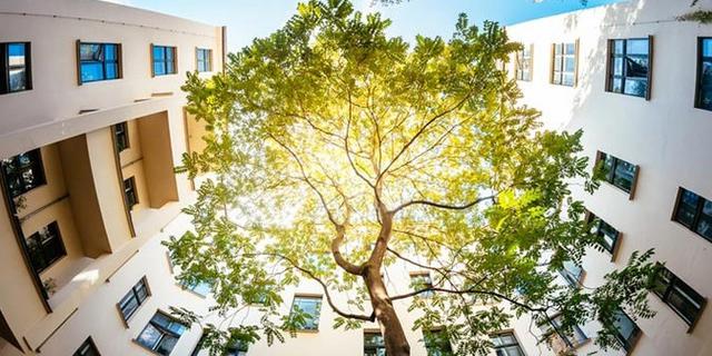 Kemenhut Perkuat Payung Hukum Pengelolaan Karbon dan Hutan Berkelanjutan