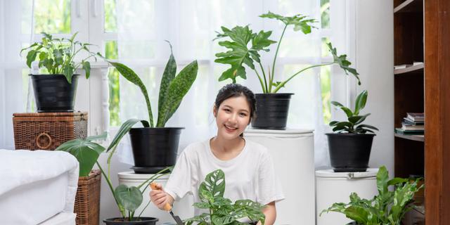 Langkah Sederhana untuk Memulai Gaya Hidup Lebih Hijau di Kehidupan Sehari-Hari