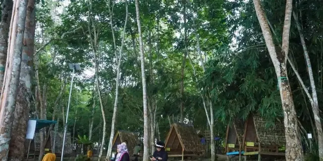 Pemanfaatan Hutan Berkelanjutan di Kaltim Hasilkan Nilai Ekonomi