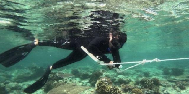 Pemprov Kaltim Perkuat Tata Kelola Kawasan Konservasi Laut, Lindungi Ekosistem
