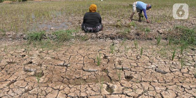 Antisipasi Kemarau Dini, Balai Besar Wilayah Sungai Cimancis Andalkan Pompa Surya untuk Pasokan Air