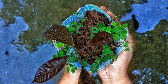 Kolaborasi Muslimat NU dan Kementerian LH, Perkuat Pelestarian Lingkungan Berbasis Masyarakat