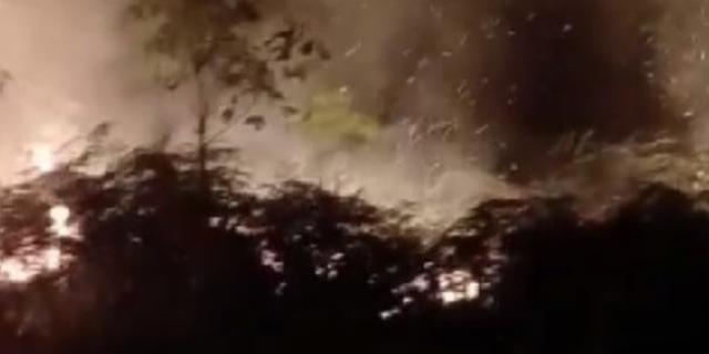 Kebakaran Lahan di Aceh Barat Capai 19 Hektare, BPBD Masih Lakukan Penanganan