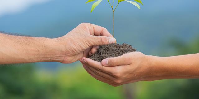Menyambut Hari Lingkungan Hidup Indonesia 10 Januari Lewat Gerakan Menanam Pohon