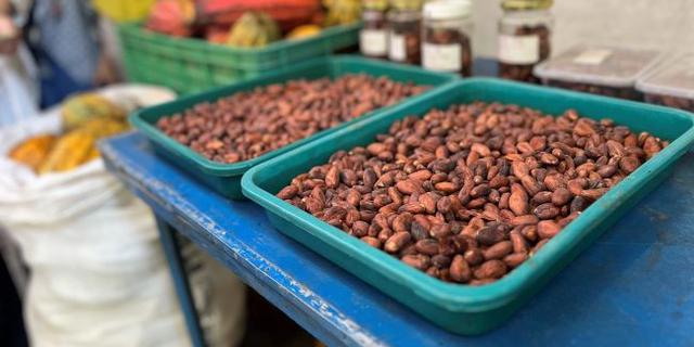 Benarkah Cuaca Ekstrem Picu Krisis Rantai Pasok Dunia?