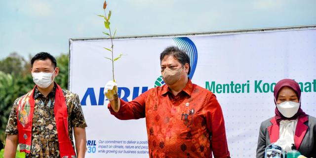 Menko Airlangga Ungkap Bukti Pemerintah Terapkan Green Economy dan Pengembangan Sustainable Forest Management