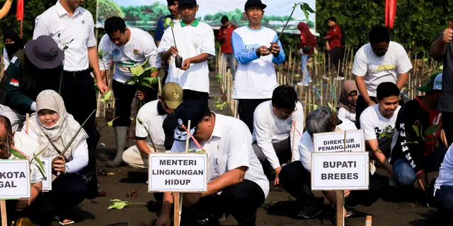 Penanaman Mangrove di Brebes Perkuat Perlindungan Pesisir