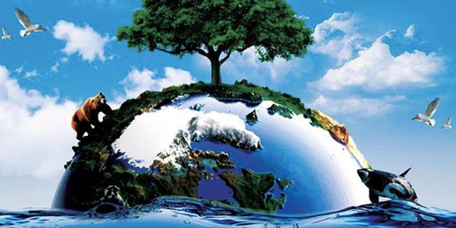 Pengertian Lingkungan, Macam, Manfaat dan Cara Melestarikannya yang Wajib Diketahui