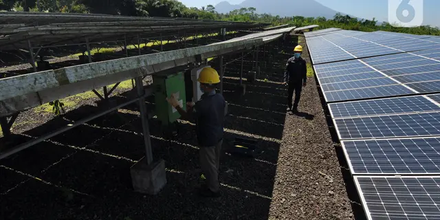 Target 100 GW PLTS, Koperasi Siap Jadi Motor Energi Terbarukan