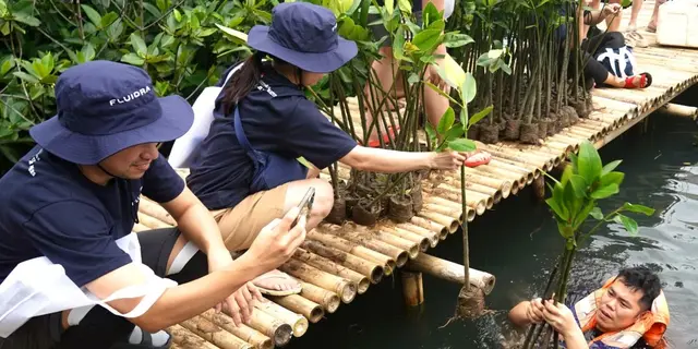 Fluidra Lindungi Mangrove Sebagai Investasi Berkelanjutan