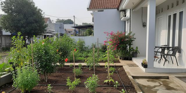 8 Ide Kebun Mini di Rumah dengan Sistem Irigasi Tetes, Hemat Air dan Praktis