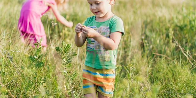 Mengenal Istilah-Istilah Lingkungan Hidup yang Penting Dipahami
