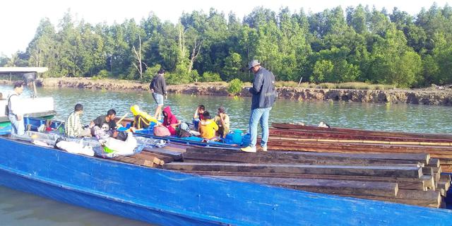 Gagalkan Peredaran 600 Kayu Ilegal di Kalbar, Upaya Pemerintah Lindungi Sumber Daya Alam