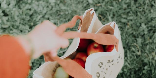 Langkah Kecil yang Bisa Jadi Awal Hidup Lebih Ramah Lingkungan di 2026