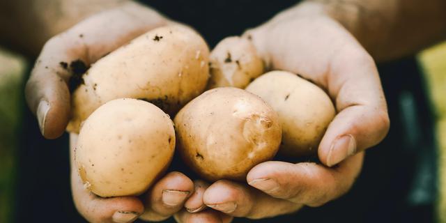 Peneliti Menemukan Limbah Kentang Dapat Menjadi Kandungan Skincare Anti-Aging