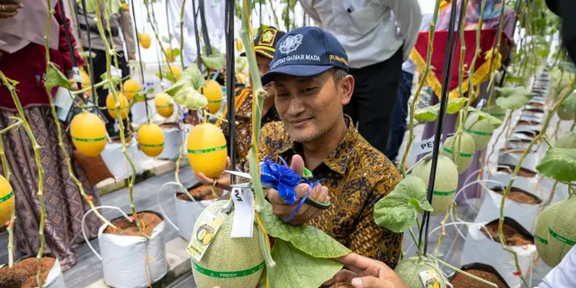UGM Gandeng Pemkab Kulon Progo Kembangkan Teknologi untuk Pertanian Modern