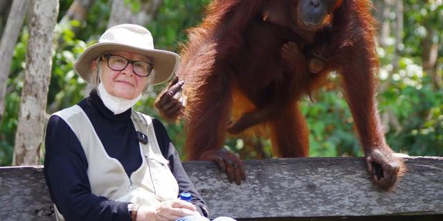 Dr. Birute Mary Galdikas Meninggal Dunia, Selamat Jalan Ibu Orang Utan Kalimantan