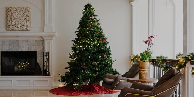 Di Balik Pohon Natal Asli, Ada Upaya Menjaga Tradisi Tetap Ramah Lingkungan