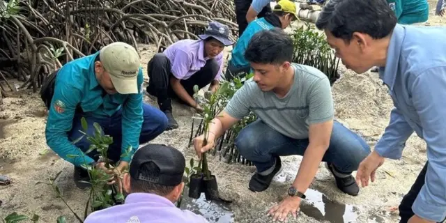 50 Ekor Tukik Dilepas dan Penanaman 500 Bibit Mangrove di Pulau Sabira