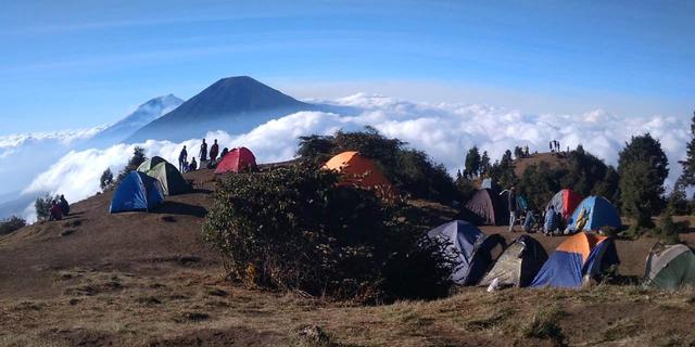 Pendakian Gunung Prau Ditutup Mulai 19 Januari 2026 untuk Reboisasi, Terima Donasi Bibit Tanaman