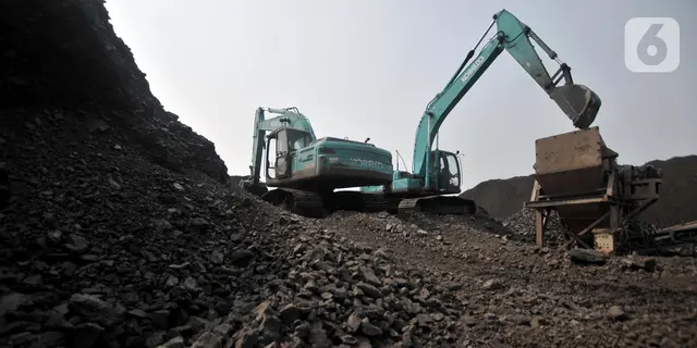 DEN Pilih Dekarbonisasi Fosil Dibanding Setop Batu Bara