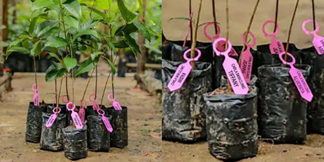 Disdik DKI Bareng Askrindo Dorong Pelajar Peduli Lingkungan Lewat Urban Sustainability Education, Apa Itu?