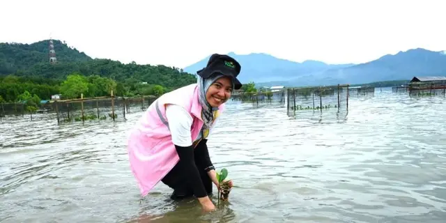 Perkuat Ketahanan Ekosistem Pesisir, 33 Ribu Bibit Mangrove Ditanam di Pesawaran Lampung