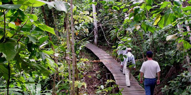 Kawasan Konservasi Taman Nasional Kutai Hadirkan Wisata Alam Saat Libur Lebaran
