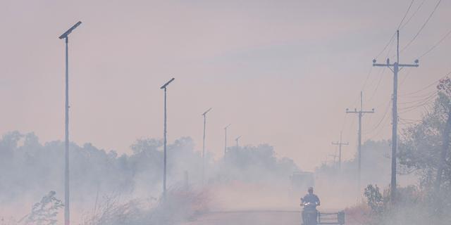 Bangkok Darurat Polusi Udara Akibat Pembakaran Limbah Pertanian, Warga Diminta WFH 2 Hari