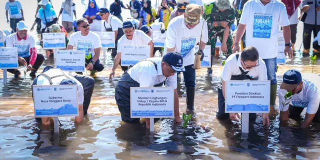 Kementerian Lingkungan Hidup Pulihkan Ekosistem Mangrove di NTB