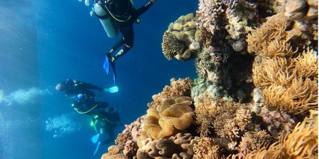 Terumbu Karang Selat Bali Jadi Fokus Pengawasan BBKSDA Jatim