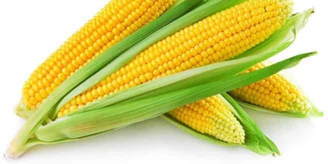 Pemprov Lampung Perkuat Pengembangan Bioetanol Berbasis Multifeedstock Lokal