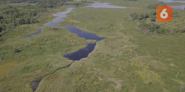 Hari Lahan Basah Sedunia 2026: Merayakan Pengetahuan Tradisional dan Menyelamatkan Ekosistem