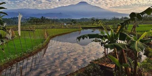 Warga Sumbang Banyumas Jateng Tolak Aktivitas Tambang di Kaki Gunung Slamet