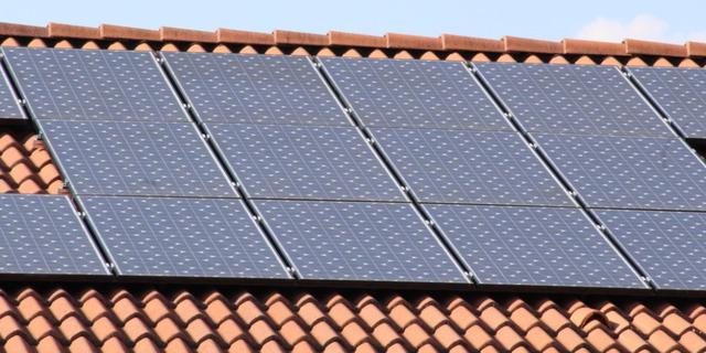 Subsidi Global jadi Alat Strategis untuk Ekonomi dan Lingkungan